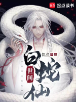 小说《/data/image/23958.jpg》封面
